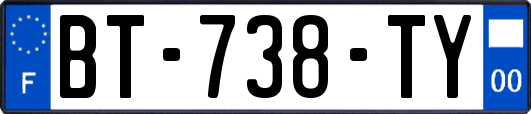 BT-738-TY