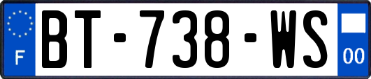 BT-738-WS