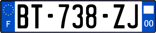 BT-738-ZJ