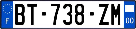 BT-738-ZM