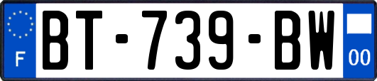 BT-739-BW