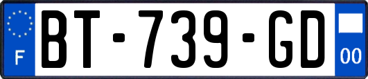 BT-739-GD