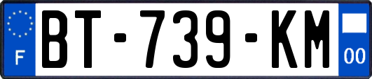 BT-739-KM