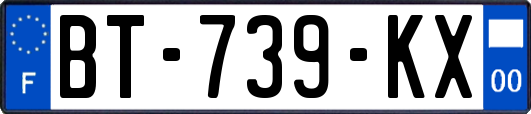 BT-739-KX