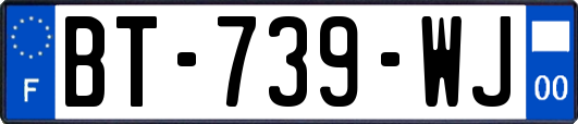 BT-739-WJ