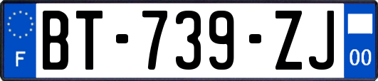 BT-739-ZJ