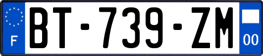 BT-739-ZM