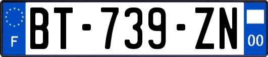 BT-739-ZN