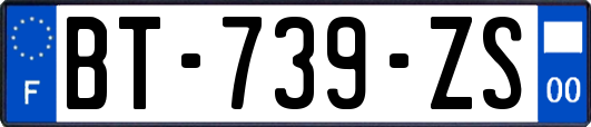 BT-739-ZS