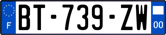 BT-739-ZW