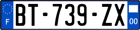 BT-739-ZX