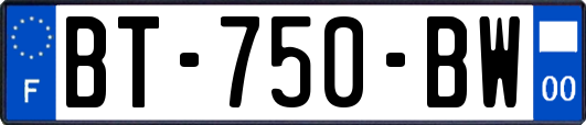 BT-750-BW