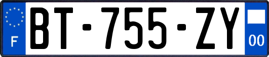 BT-755-ZY