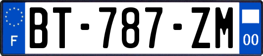 BT-787-ZM