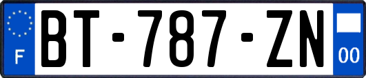 BT-787-ZN