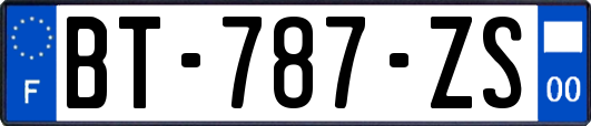 BT-787-ZS