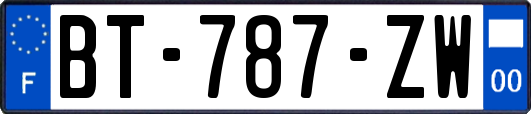 BT-787-ZW