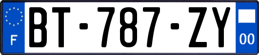 BT-787-ZY