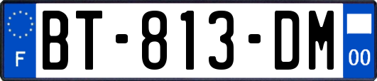 BT-813-DM