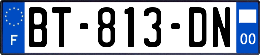 BT-813-DN