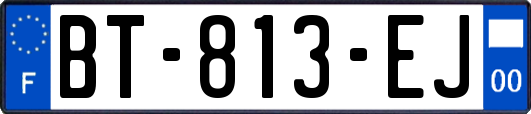 BT-813-EJ