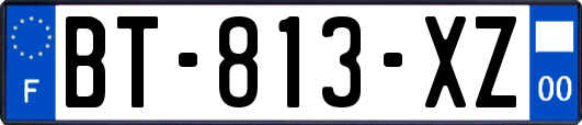 BT-813-XZ