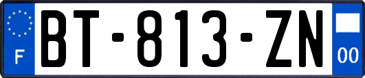 BT-813-ZN