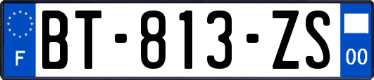 BT-813-ZS