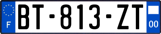 BT-813-ZT