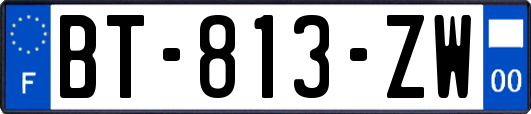 BT-813-ZW