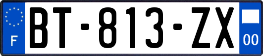 BT-813-ZX