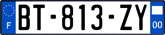 BT-813-ZY