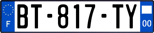 BT-817-TY