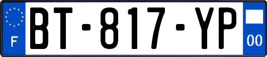 BT-817-YP