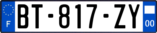 BT-817-ZY