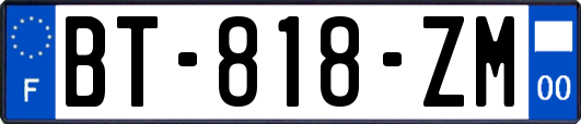 BT-818-ZM