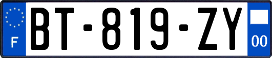 BT-819-ZY