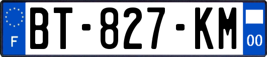 BT-827-KM