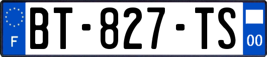 BT-827-TS