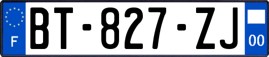 BT-827-ZJ