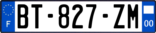 BT-827-ZM