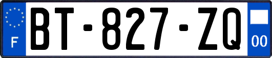 BT-827-ZQ