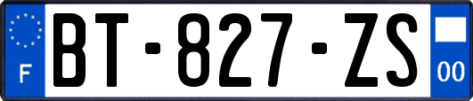 BT-827-ZS