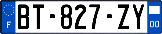 BT-827-ZY