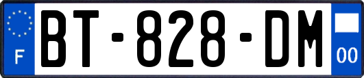 BT-828-DM
