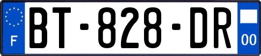 BT-828-DR