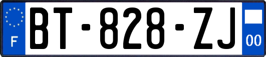 BT-828-ZJ