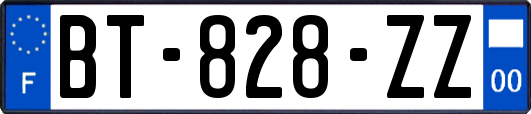 BT-828-ZZ