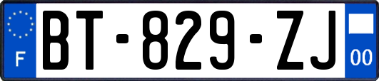 BT-829-ZJ