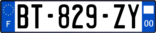 BT-829-ZY